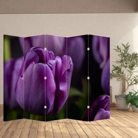 Paravan - Flori de lalele (210x170 cm)