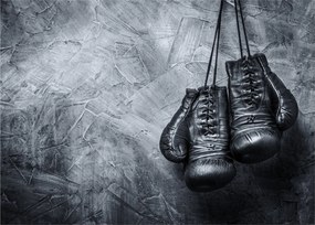 Tablou pe sticlă - Mănuși de box (70x50 cm)