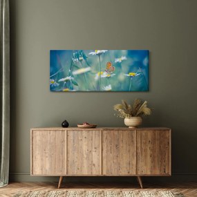 Tablou - Fluture pe margaretă (120x50 cm)
