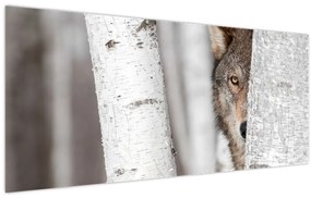 Tablou - Lup (120x50 cm)