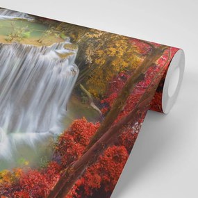Fototapet cascada de pădure