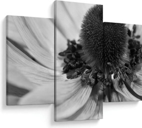 Tablou - Floare în alb-negru (90x60 cm)