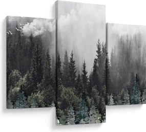 Tablou - Pădure cu elemente ilustrate (90x60 cm)