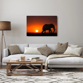Tablou cu elefant în apus de soare (90x60 cm)