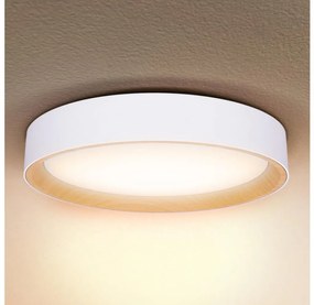 Plafonieră LED dimabilă Brilagi LARIOS LED/60W/230V 3000-6500K ø 49 cm alb + telecomandă