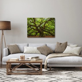 Tablou - Copac verde (70x50 cm)
