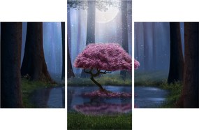 Tablou - Noapte magică (90x60 cm)
