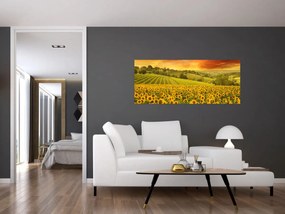 Tablou - Câmp de floarea-soarelui (120x50 cm)