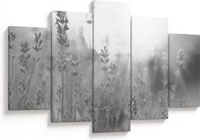 Tablou - Lavanda (150x105 cm)