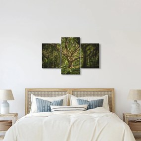 Tablou cu copaci (90x60 cm)