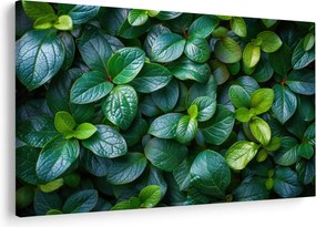 Tablou - Plante verzi (90x60 cm)