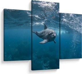 Tablou - Delfin sub apă (90x60 cm)