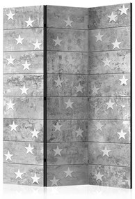 Paravan - Stars on Concrete [Room Dividers]