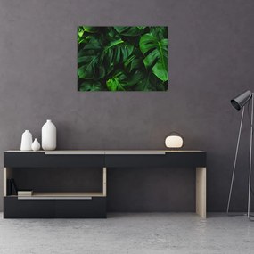 Tablou pe sticlă cu frunze Monstery (70x50 cm)