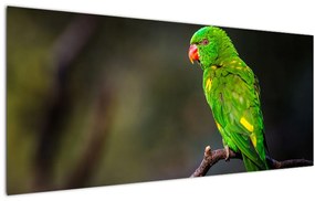 Tablou cu papagal pe greangă (120x50 cm)