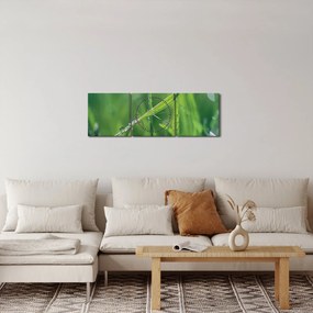 Tablou cu picături de rouă (cu ceas) (90x30 cm)