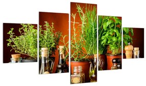 Tablou cu plante și condimente (125x70 cm), în 40 de alte dimensiuni noi