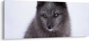 Tablou cu vulpe polară (120x50 cm)