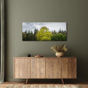 Tablou - Copac verde în câmp (120x50 cm)