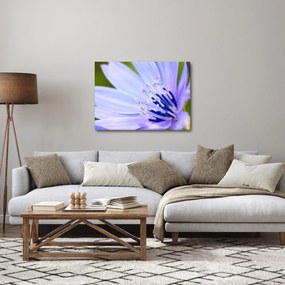 Tablou - Floare (70x50 cm)