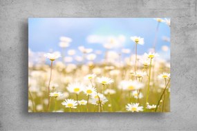 Tapet Premium Canvas - Flori de musetel in lumina soarelui
