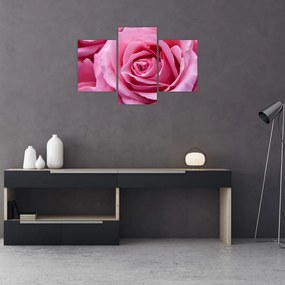 Tablou cu trandafir (90x60 cm)