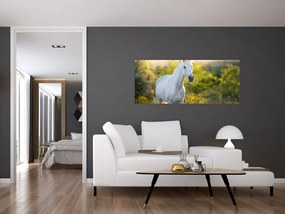 Tablou - Cal alb în poină (120x50 cm)