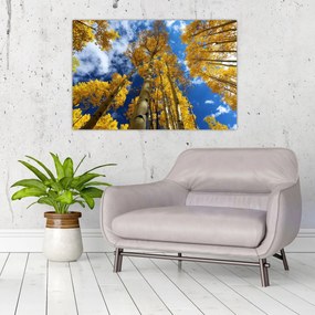 Tablou - Aspen (90x60 cm)