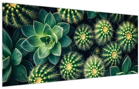 Tablou - Cactuși (120x50 cm)