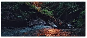 Tablou cu râu montan (120x50 cm)