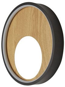 Aplica de perete LED design ambiental Curio
