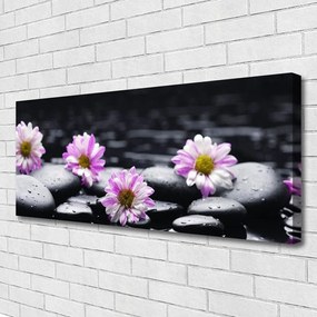 Tablou pe panza canvas Pietrele florale flori roz alb negru