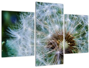 Tabloul cu păpădie desflorit (90x60 cm)