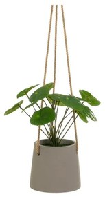 Plantă artificială (înălțime 24 cm) Pilea – Casa Selección
