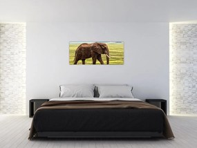 Tablou - Elefantul (120x50 cm)