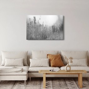 Tablou - Lavanda (90x60 cm)