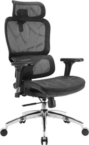 Scaun ergonomic SIHOO M56B-V2-M101, Suport Lombar Dinamic 3D, Tetieră 3D, Cotiere 3D, Înclinare 125°, Bază Metalică Cromată, Mesh, Negru