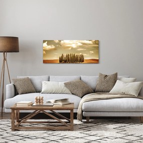 Tablou cu luncă (120x50 cm)