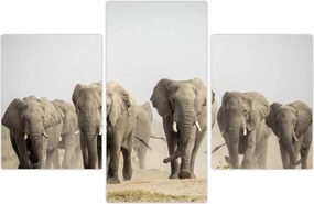 Tablou - Turmă de elefanți (90x60 cm)