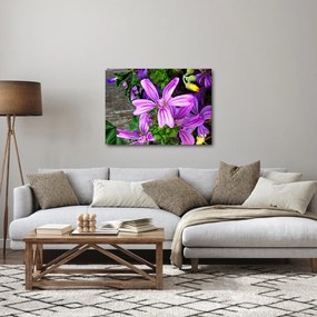 Tablou -flori de câmp (70x50 cm)