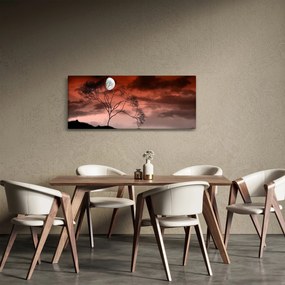 Tablou - Luna luminează noaptea (120x50 cm)