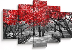 Tablou - Copaci roșii, Central Park, New York (150x105 cm)