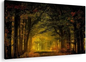 Tablou cu pădure (90x60 cm)