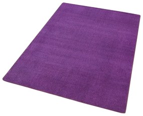 Covor violet 160x240 cm Fancy – Hanse Home