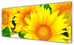 Tablouri acrilice Floarea soarelui Floral Galben