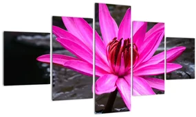 Tablou - floarea roz (125x70 cm), în 40 de alte dimensiuni noi
