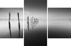Tablou cu nivelul de lac alb negru (90x60 cm)