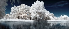 Tablou - Albă ca Zăpada Albă ca Zăpada Copaci (120x50 cm)