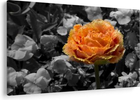 Tablou cu floare (90x60 cm)
