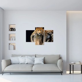 Tablou - Ghepard (90x60 cm)